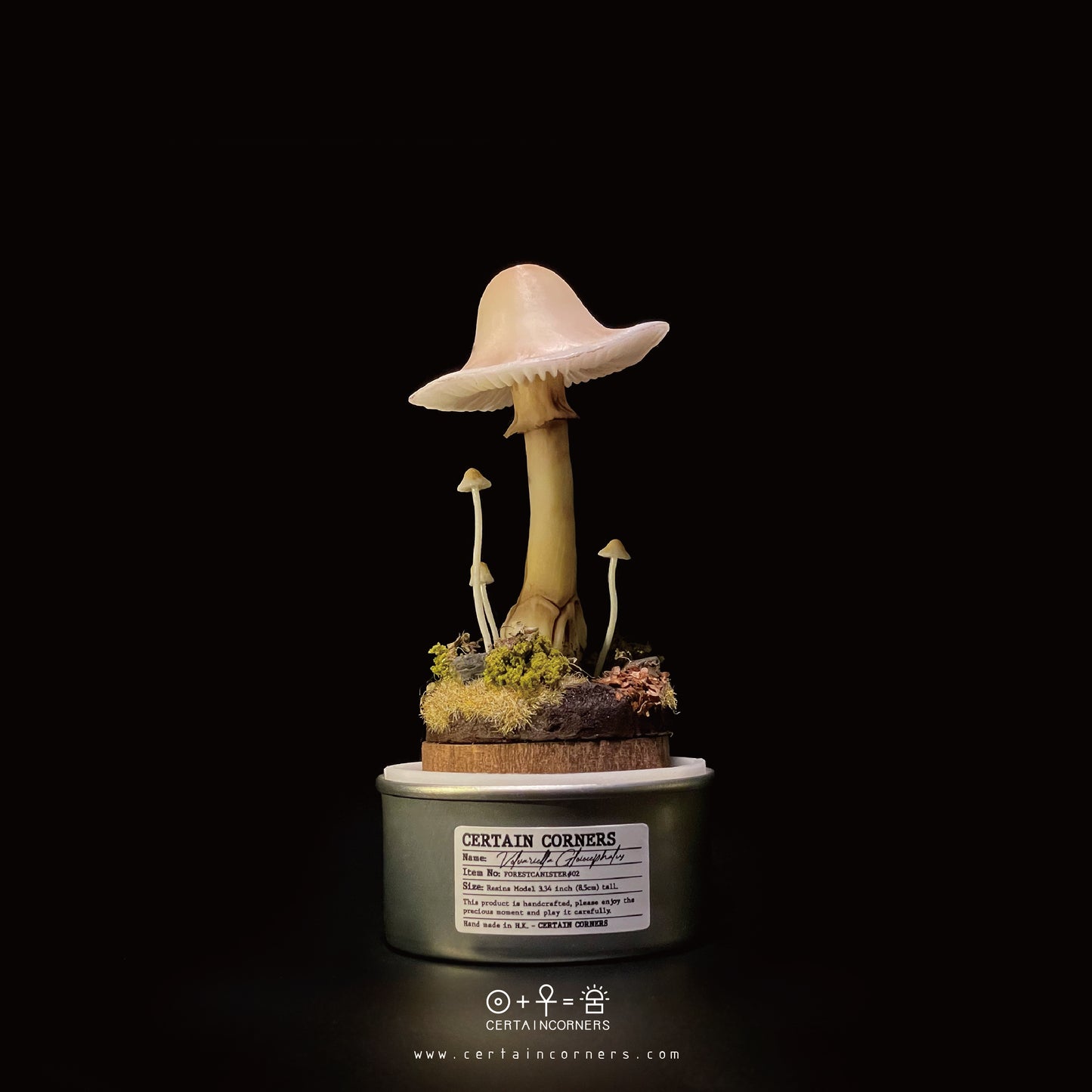 蘑菇雕塑輕觸式可調控小夜燈 - 黏蓋小包腳菇 Forest Canister Lamp -  Volvariella Gloiocephala