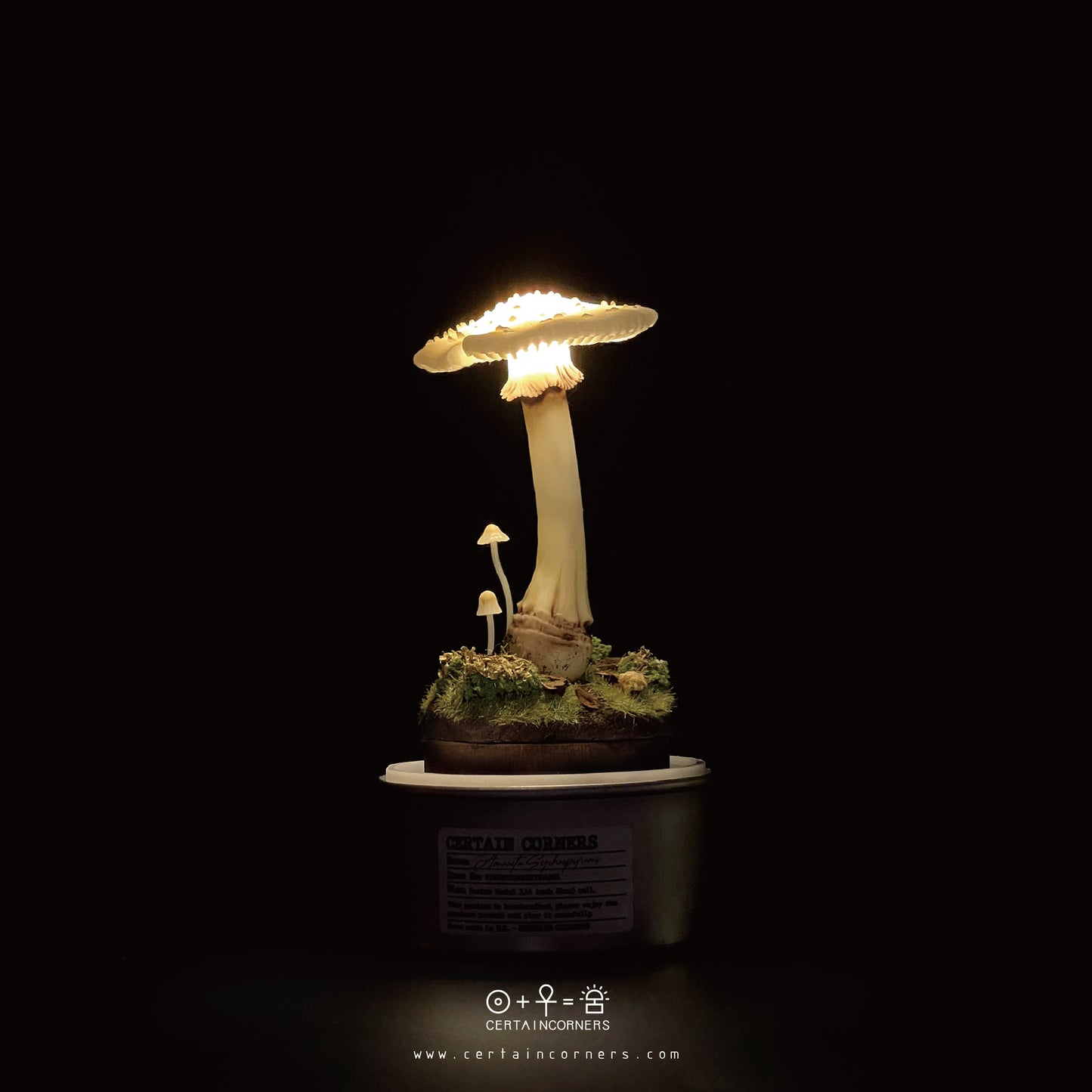 蘑菇雕塑輕觸式可調控小夜燈 - 殘托鵝膏 Forest Canister Lamp - Amanita Sychnopyramis