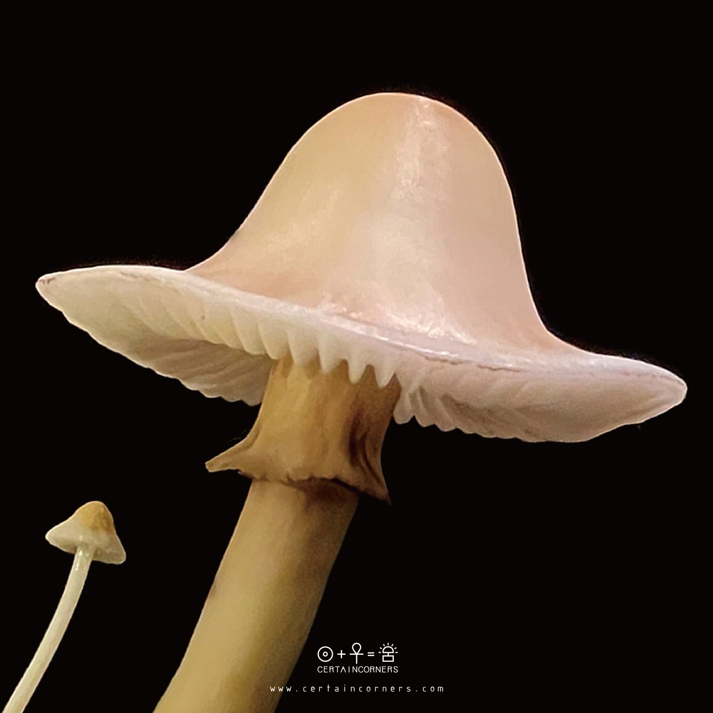 蘑菇雕塑輕觸式可調控小夜燈 - 黏蓋小包腳菇 Forest Canister Lamp -  Volvariella Gloiocephala